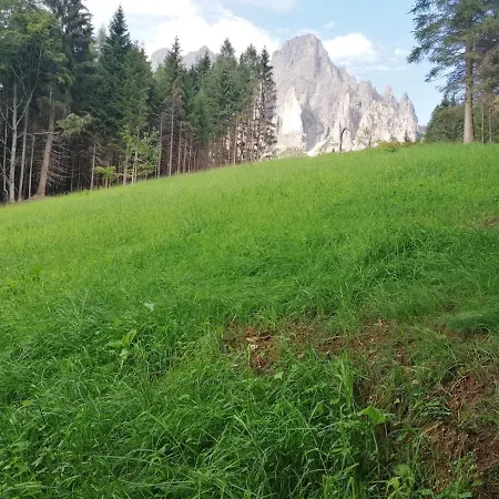 Pra Petina Pale Di San Martino